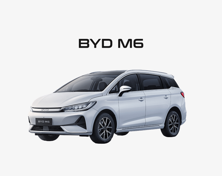 Explore Model Thumbnail_BYD M6