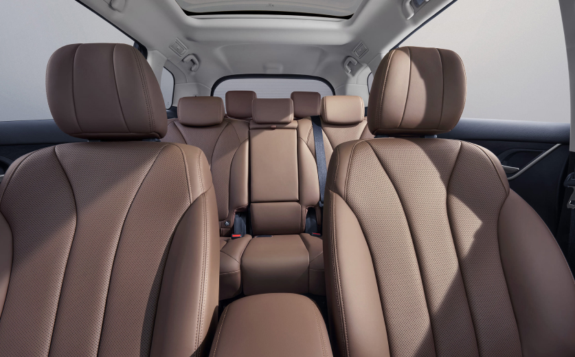 byd-m6-7-seats-large
