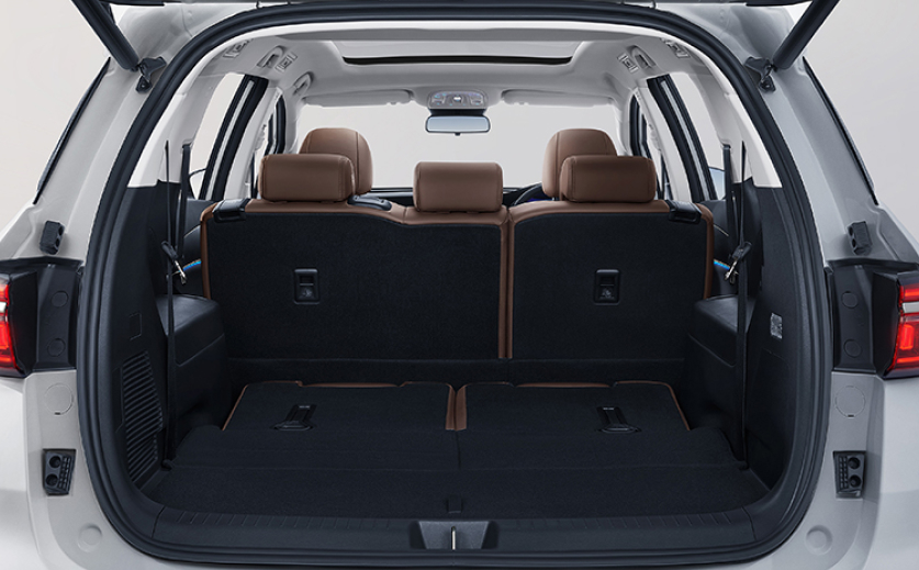 byd-m6-cargo