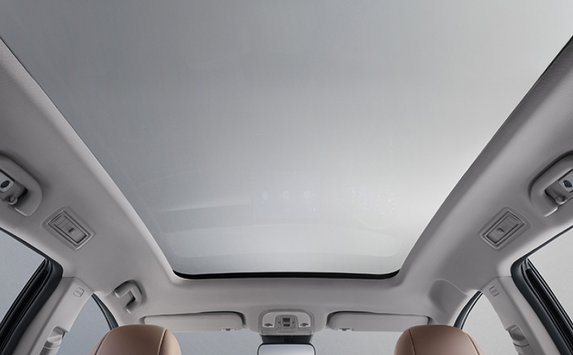 byd-m6-skylight